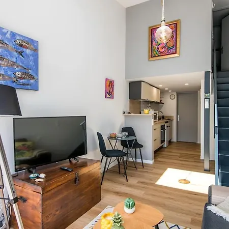 La Terrasse, Wifi,parking,clim Apartment Millau